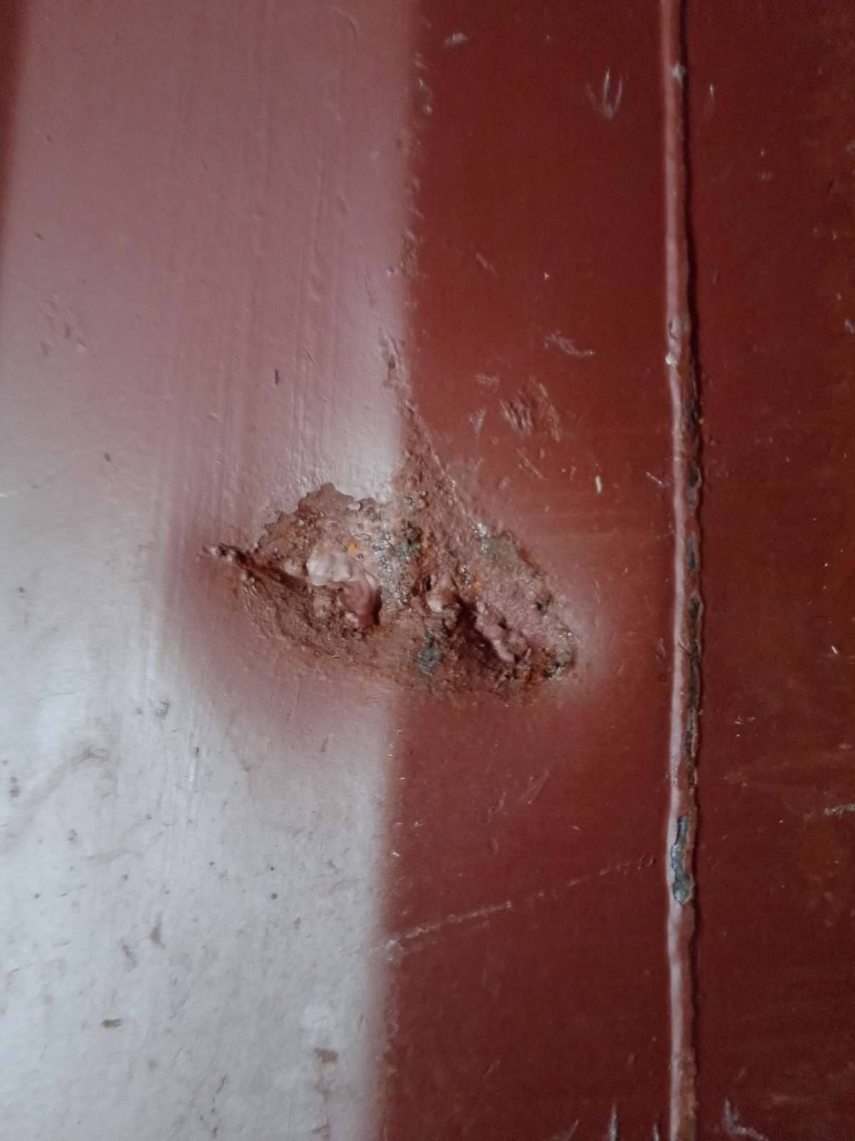 Морской контейнер MEDU3831926