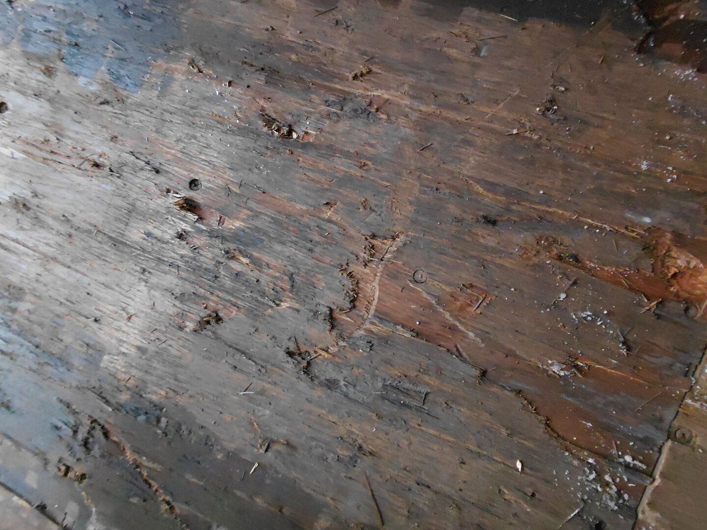 Морской контейнер MEDU3835393