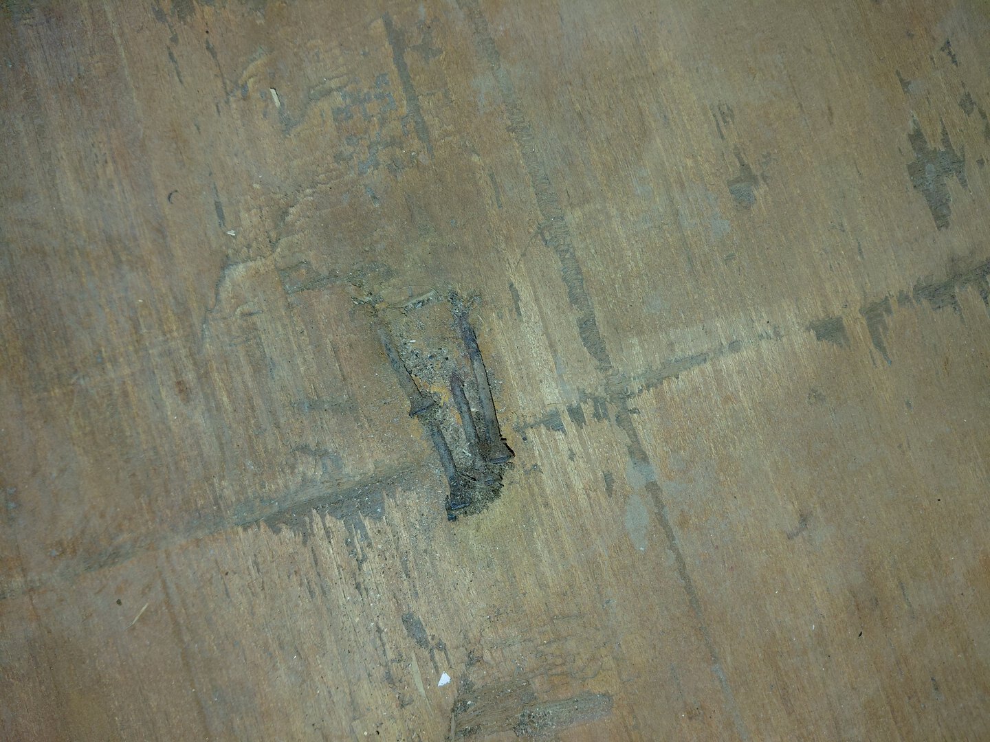 Морской контейнер MEDU3848493