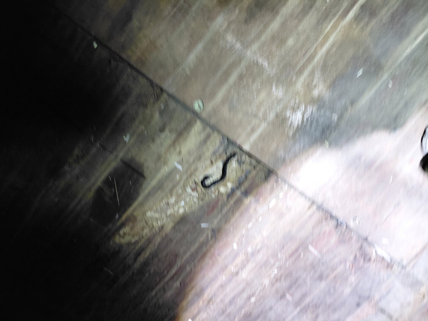 Морской контейнер MEDU6379492