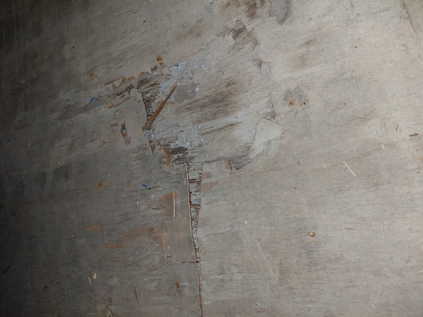 Морской контейнер MSCU3329399