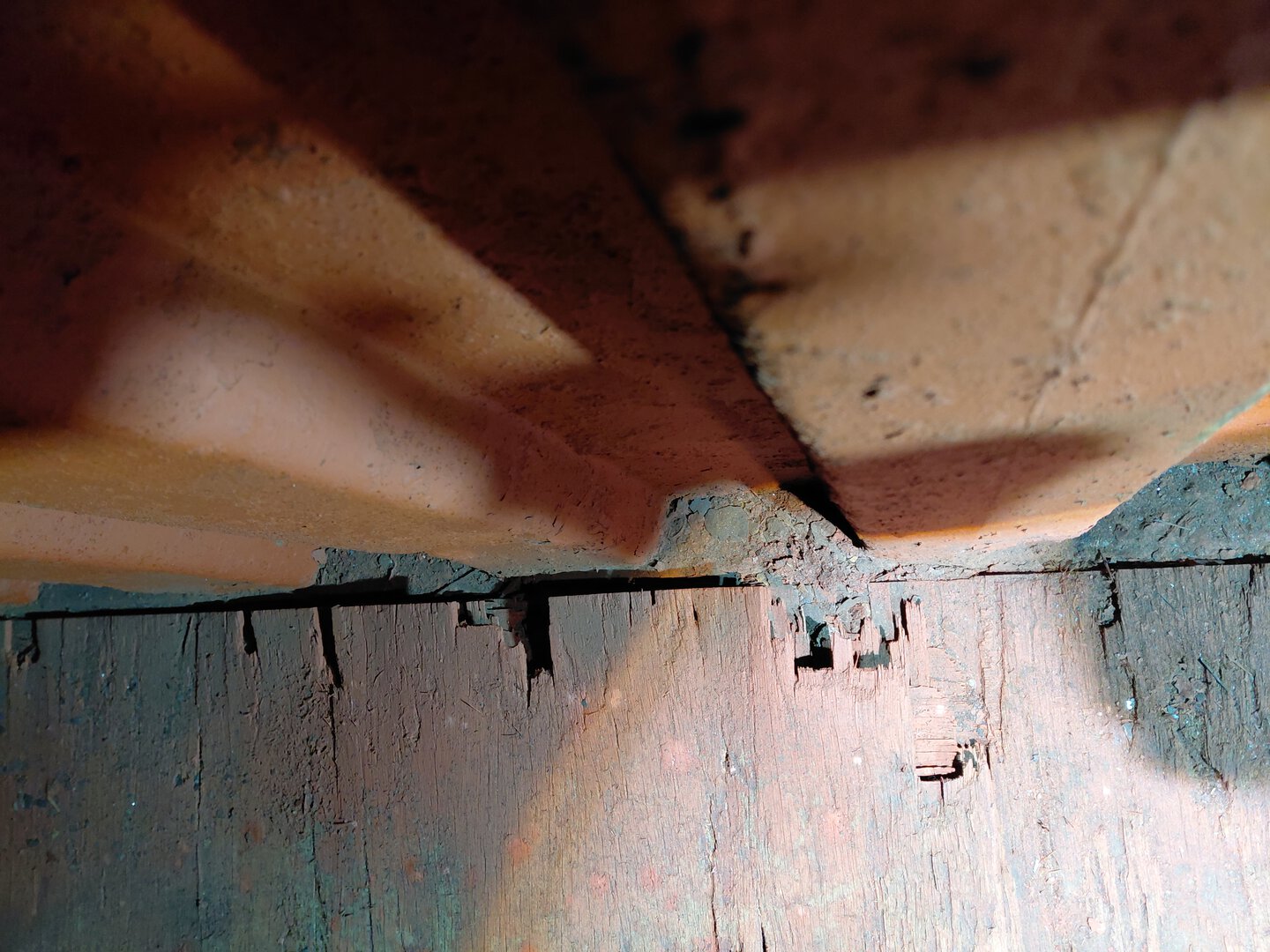 Морской контейнер MSCU3558538