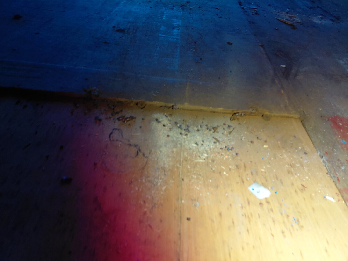 Морской контейнер MSCU3865874