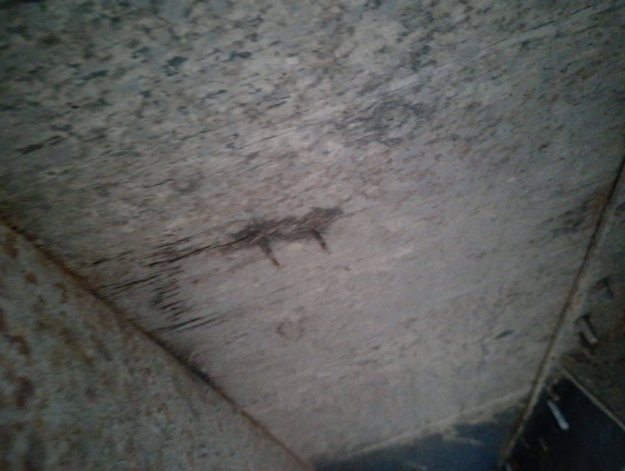 Морской контейнер MSCU3947273