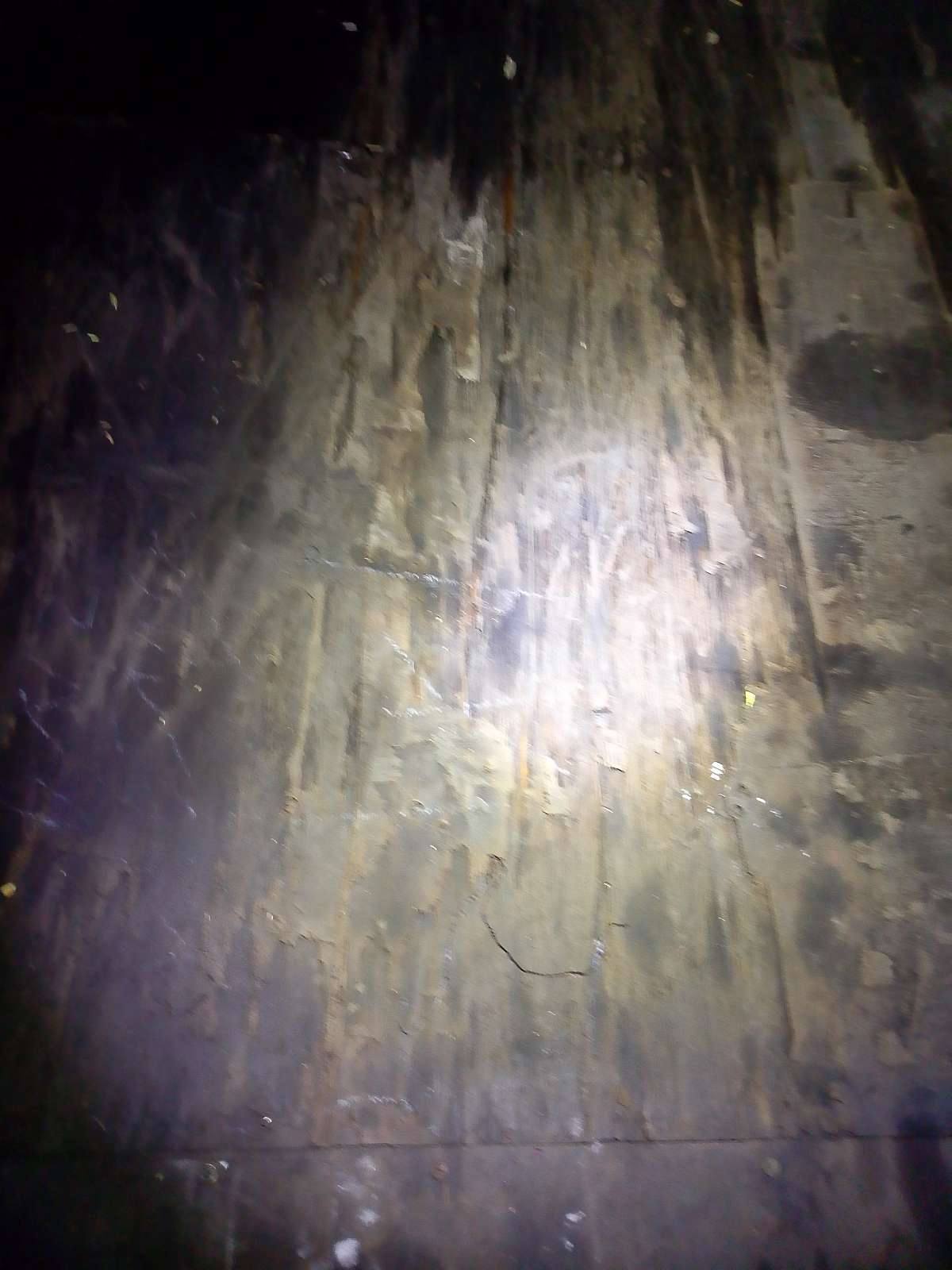 Морской контейнер MSCU6669751