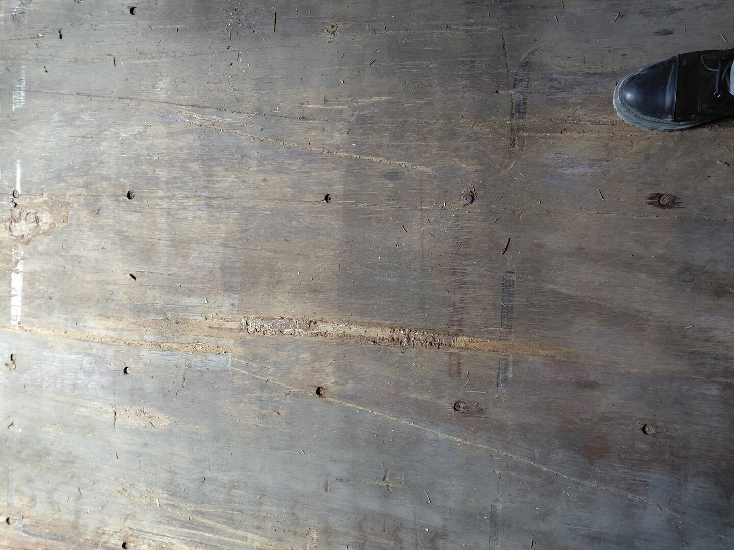 Морской контейнер MSCU6688920