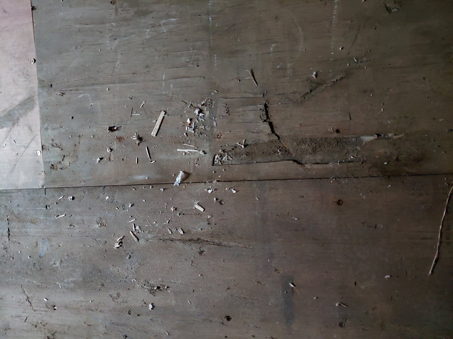 Морской контейнер MSCU6819893