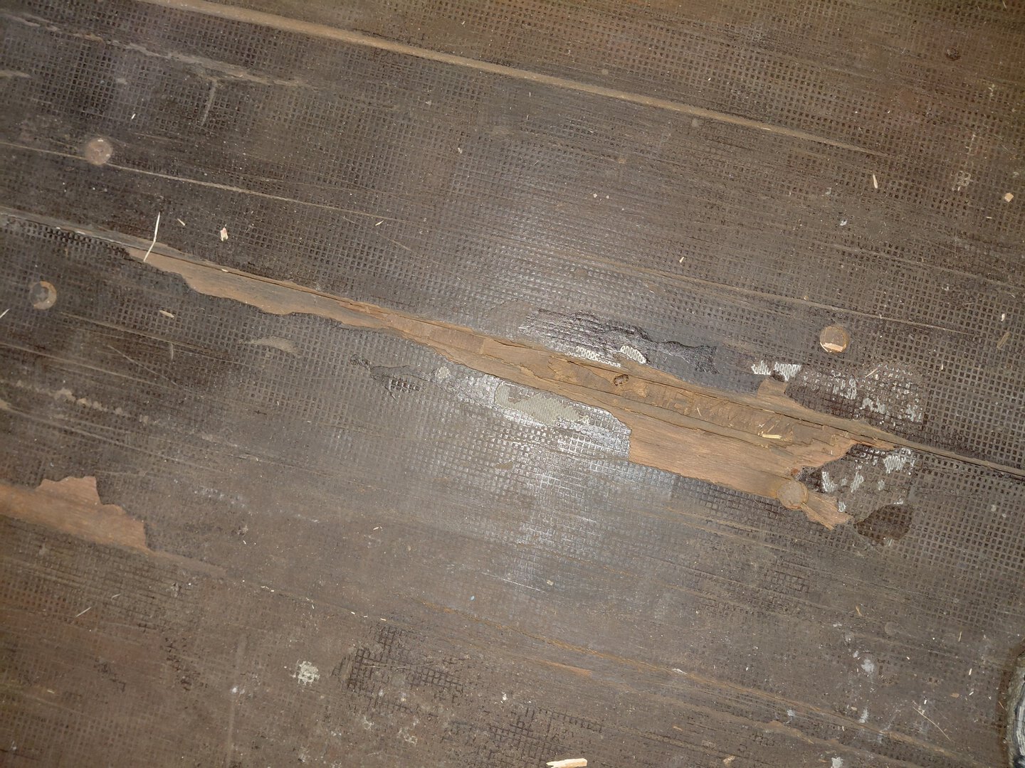 Морской контейнер PCIU2795436