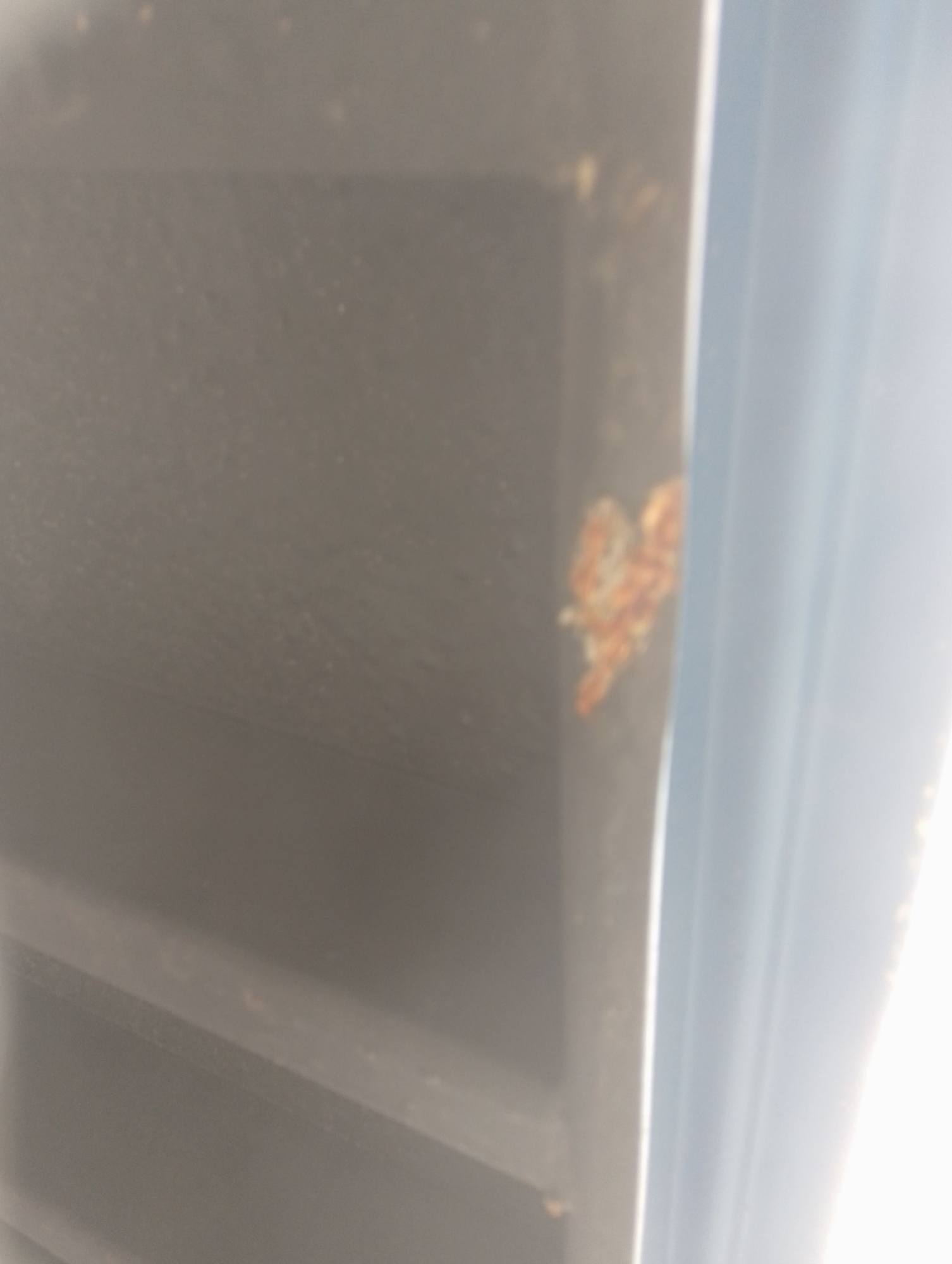 Морской контейнер RXTU4555853