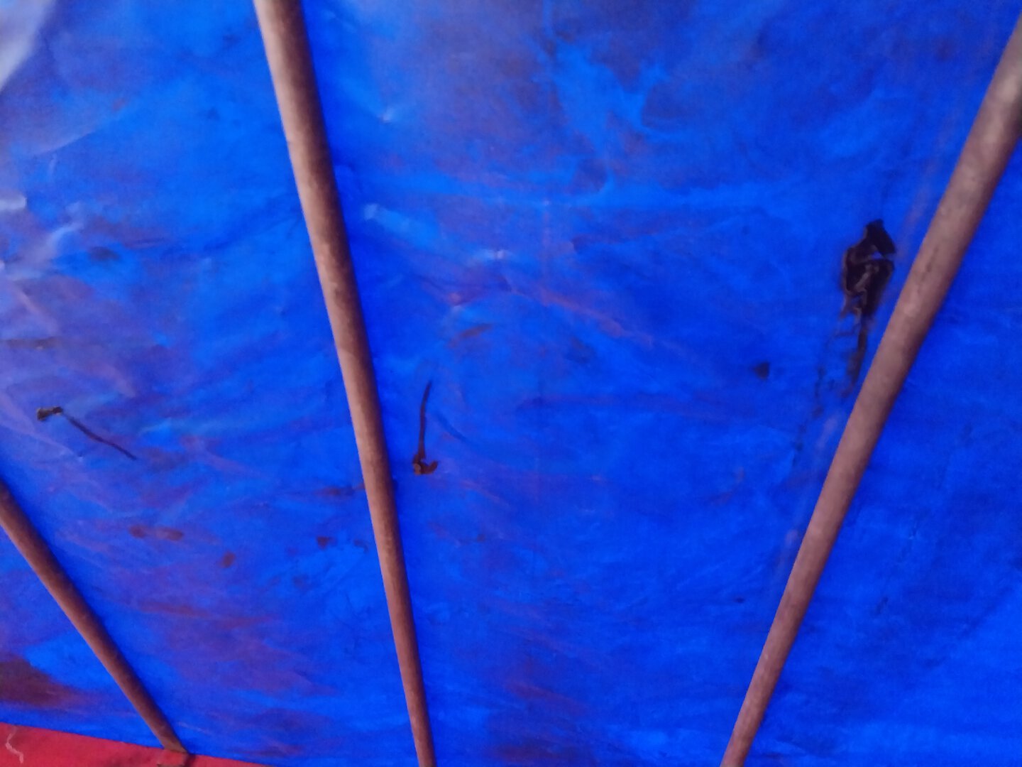 Морской контейнер SADU2839180