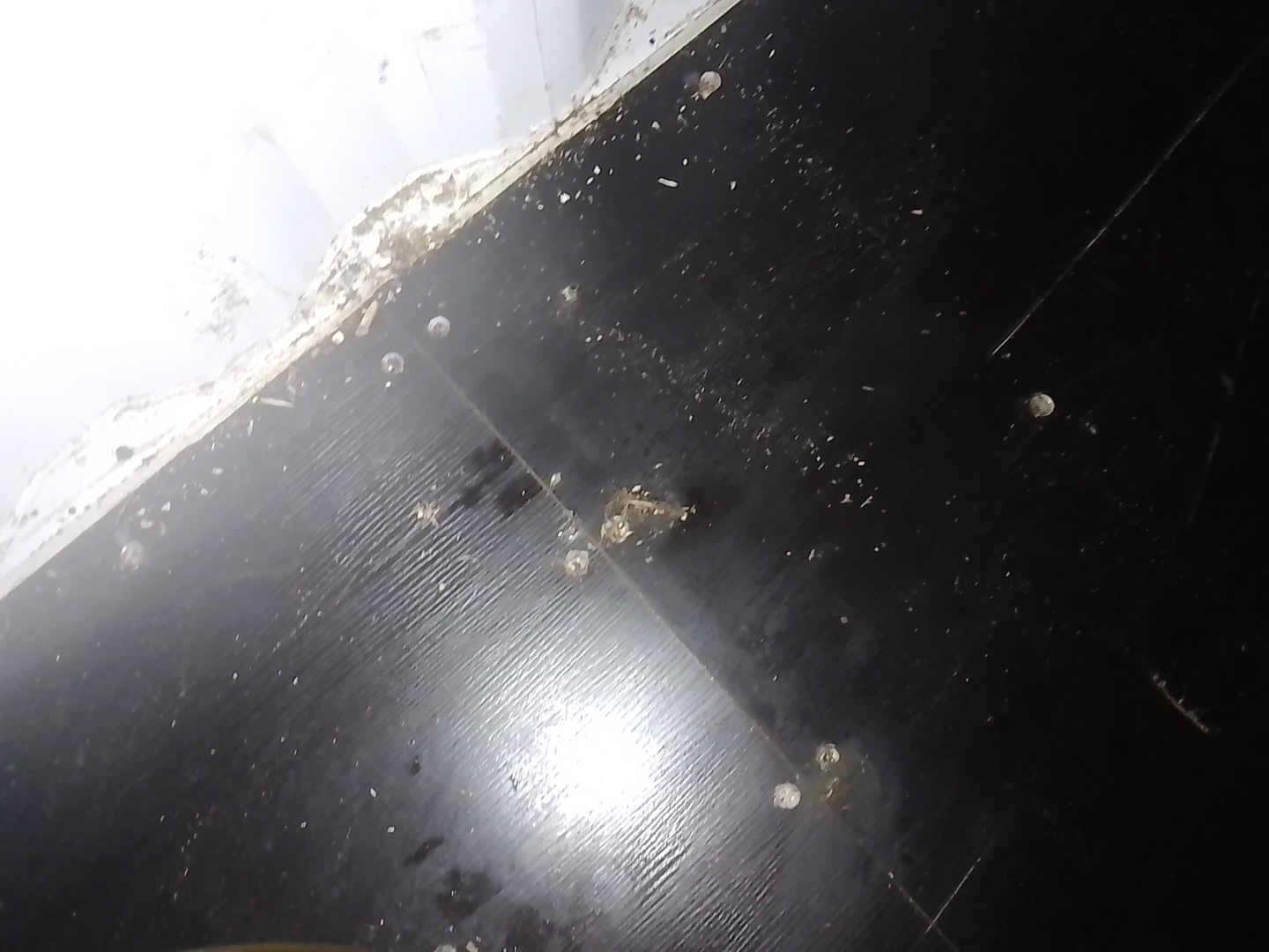 Морской контейнер SAPU2023172