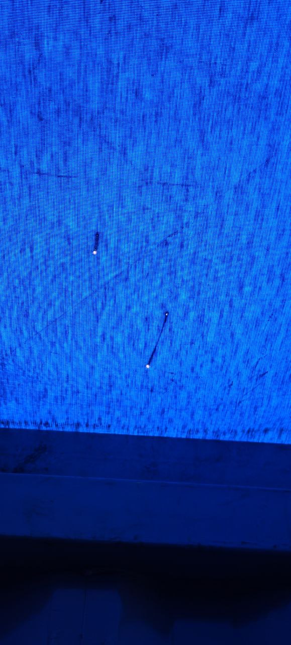 Морской контейнер SAPU4002918