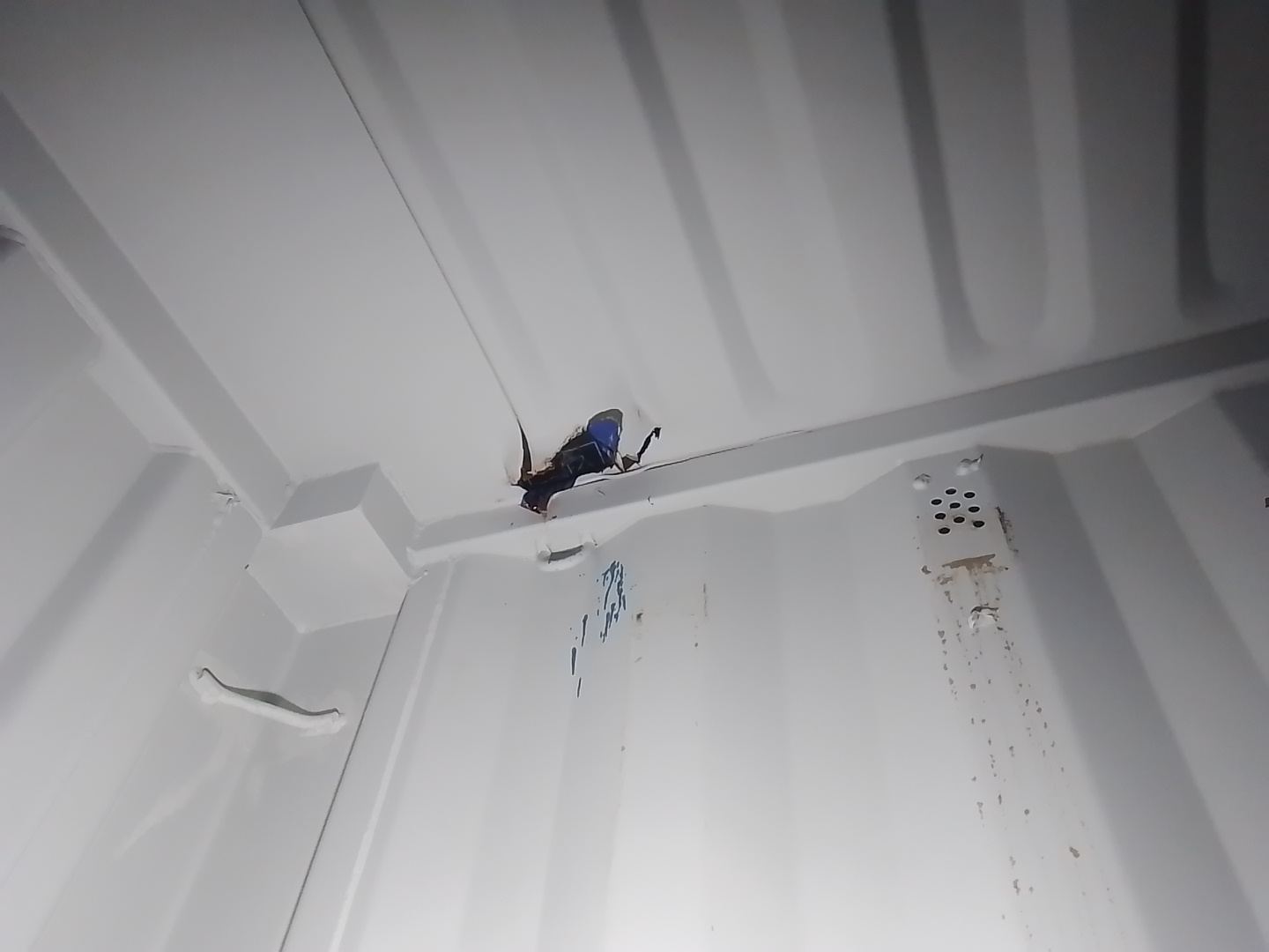 Морской контейнер SAPU5008103