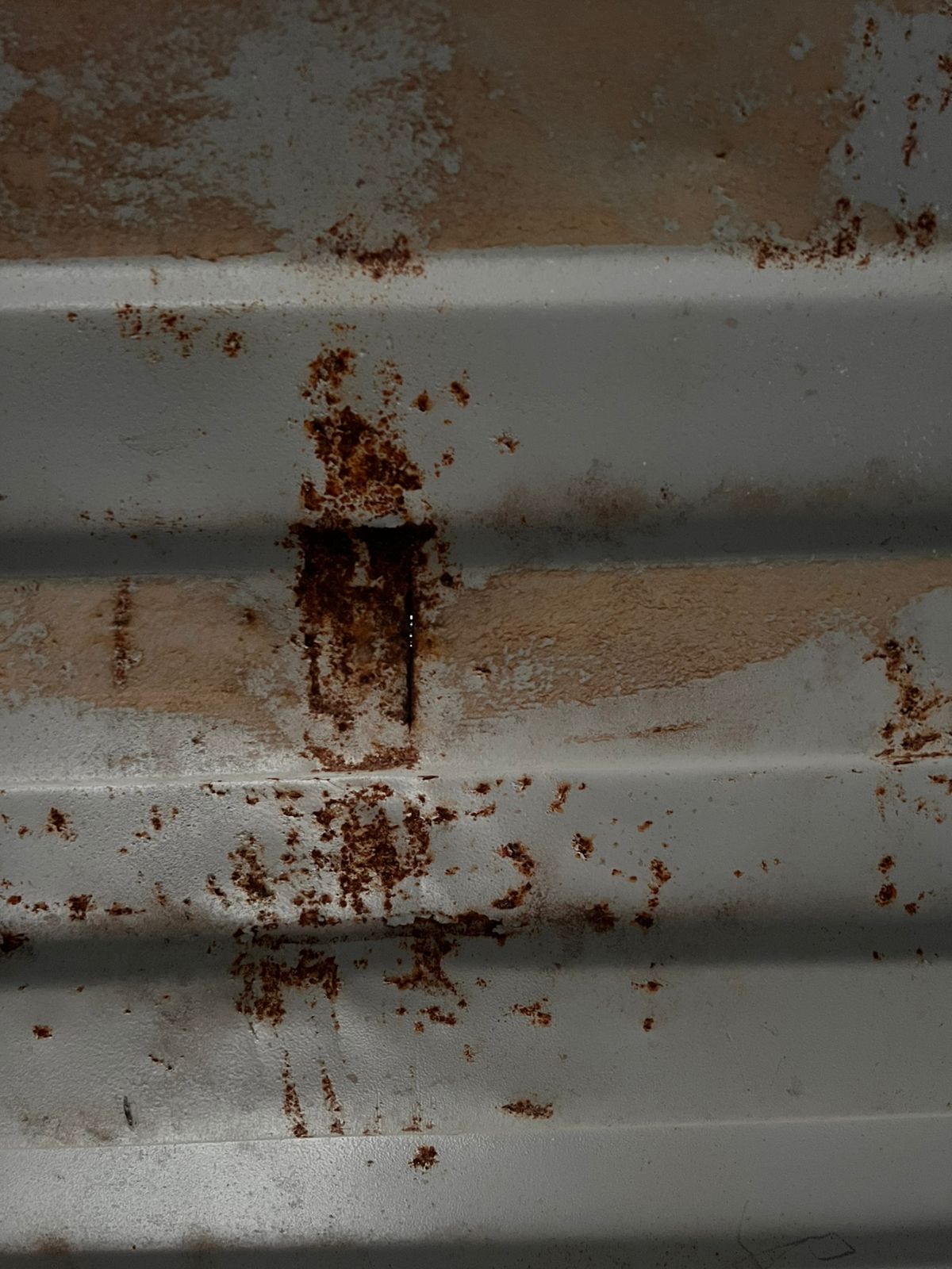 Морской контейнер SEGU1222845