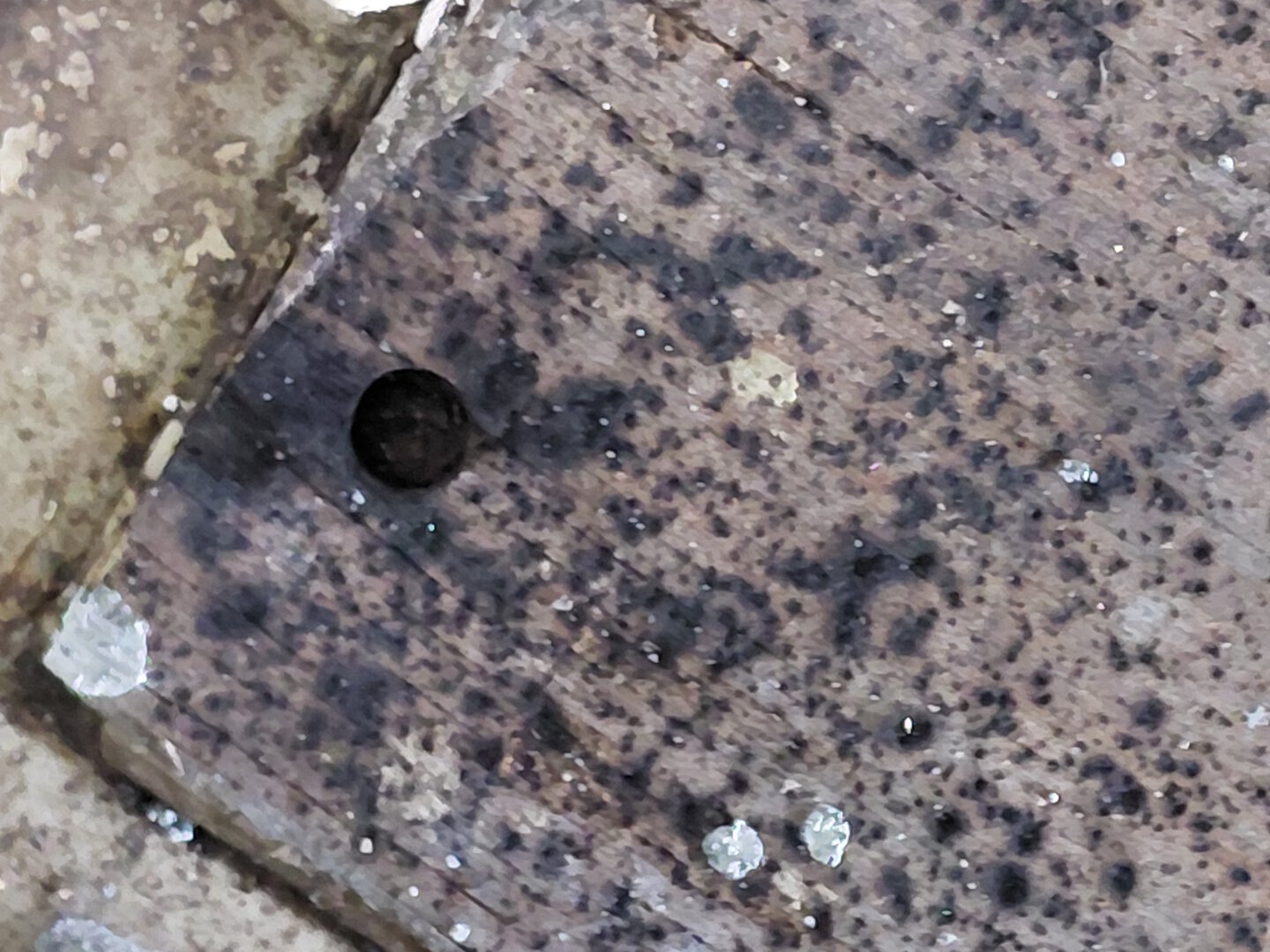 Морской контейнер SEGU4421080