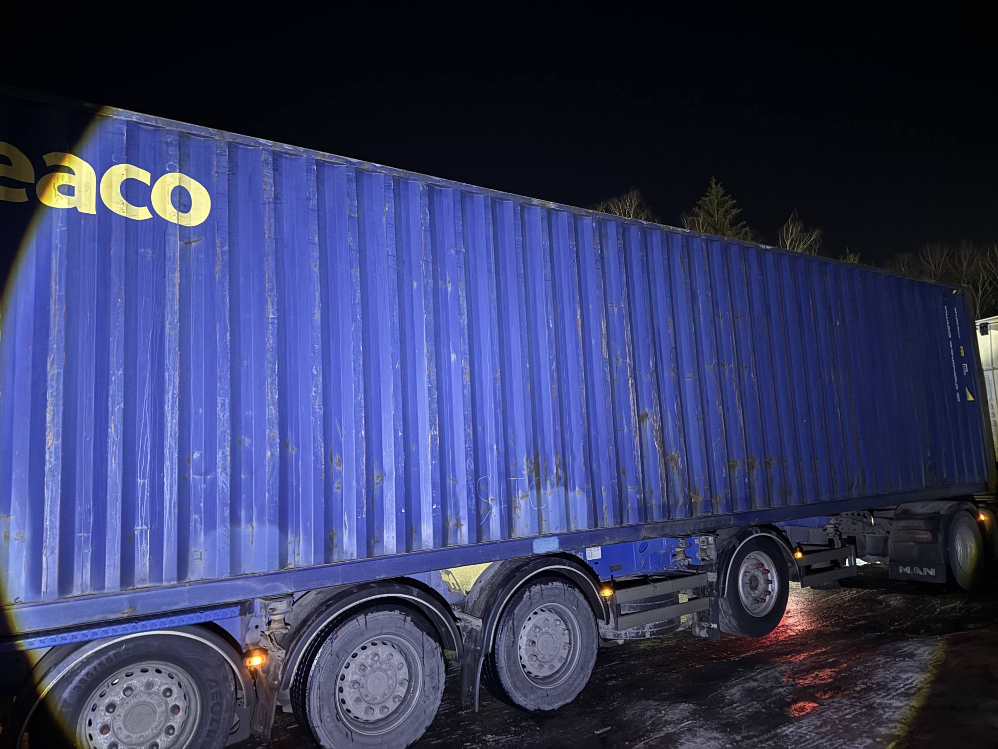 Морской контейнер SEGU4452950