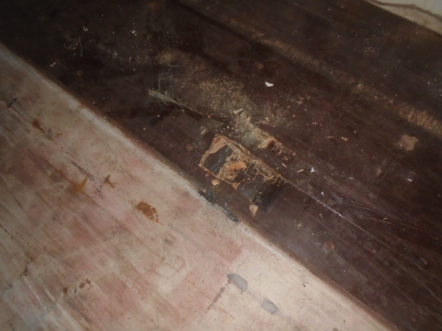 Морской контейнер SEGU4926961