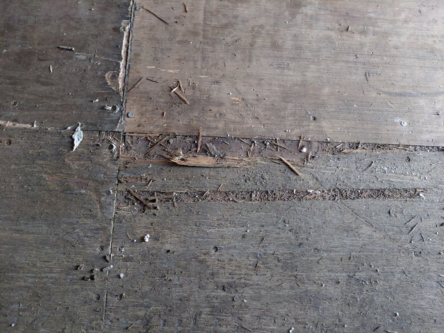 Морской контейнер SNTU8004891