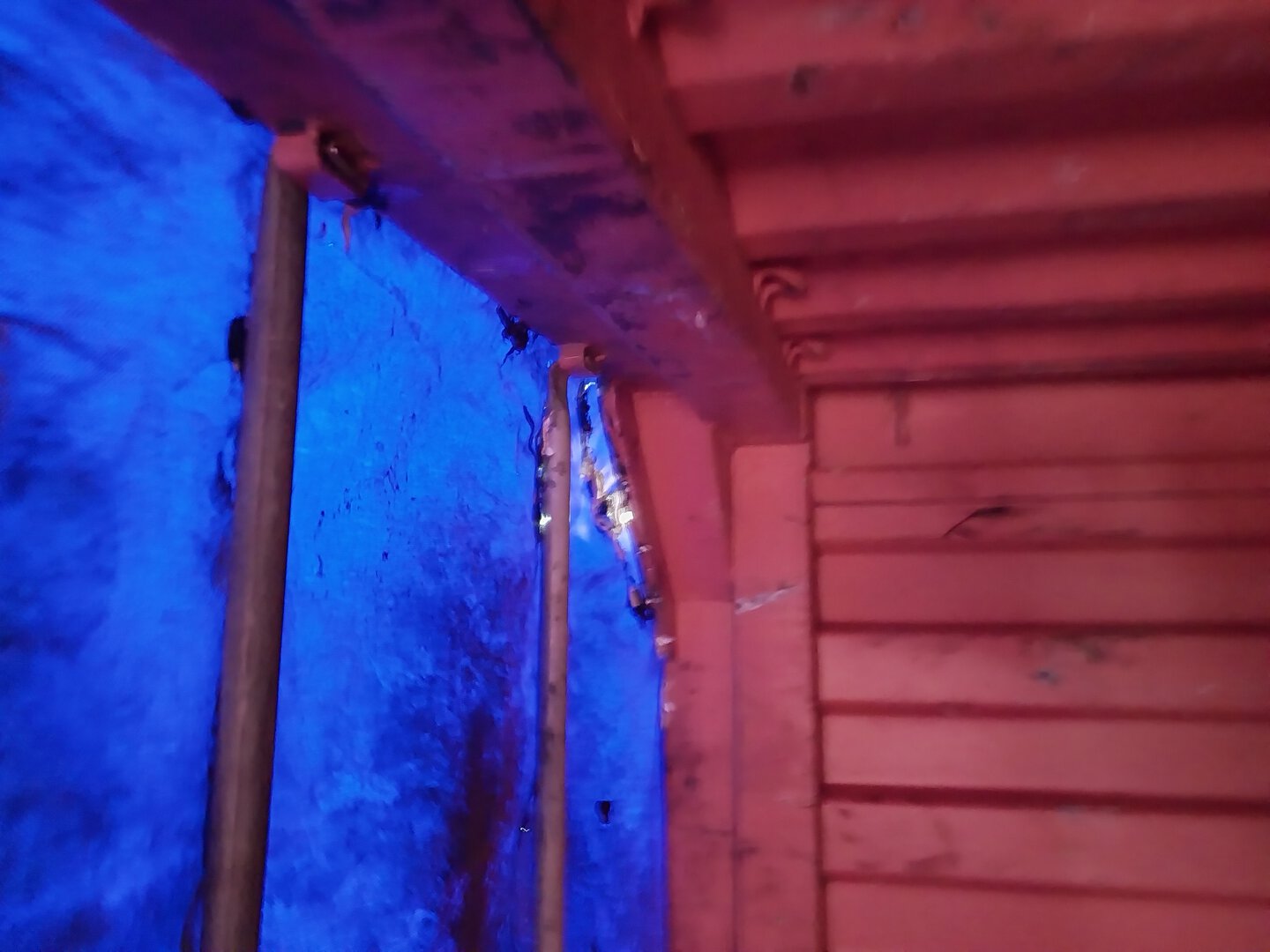 Морской контейнер SUDU2844231