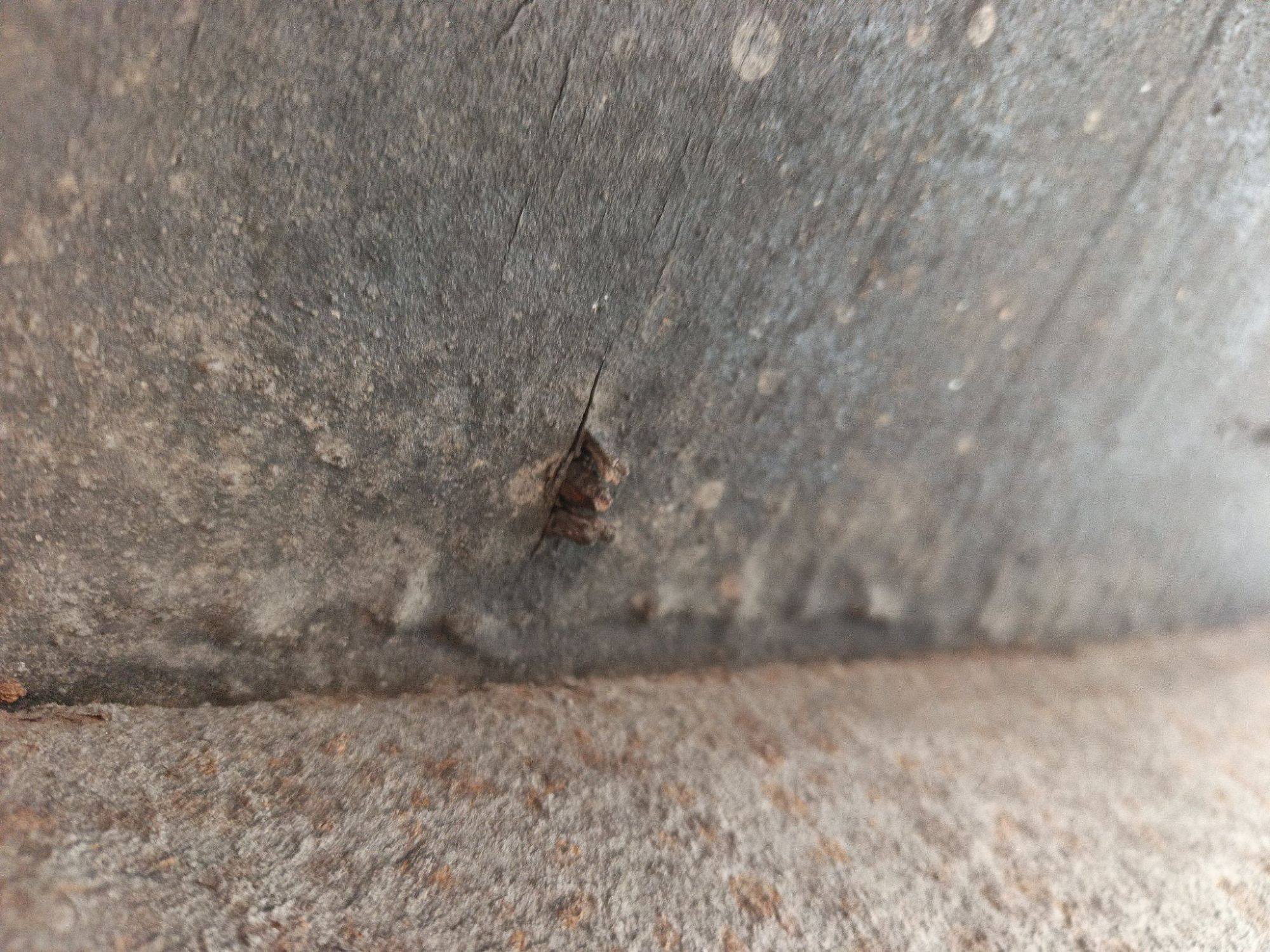 Морской контейнер TCKU3443148