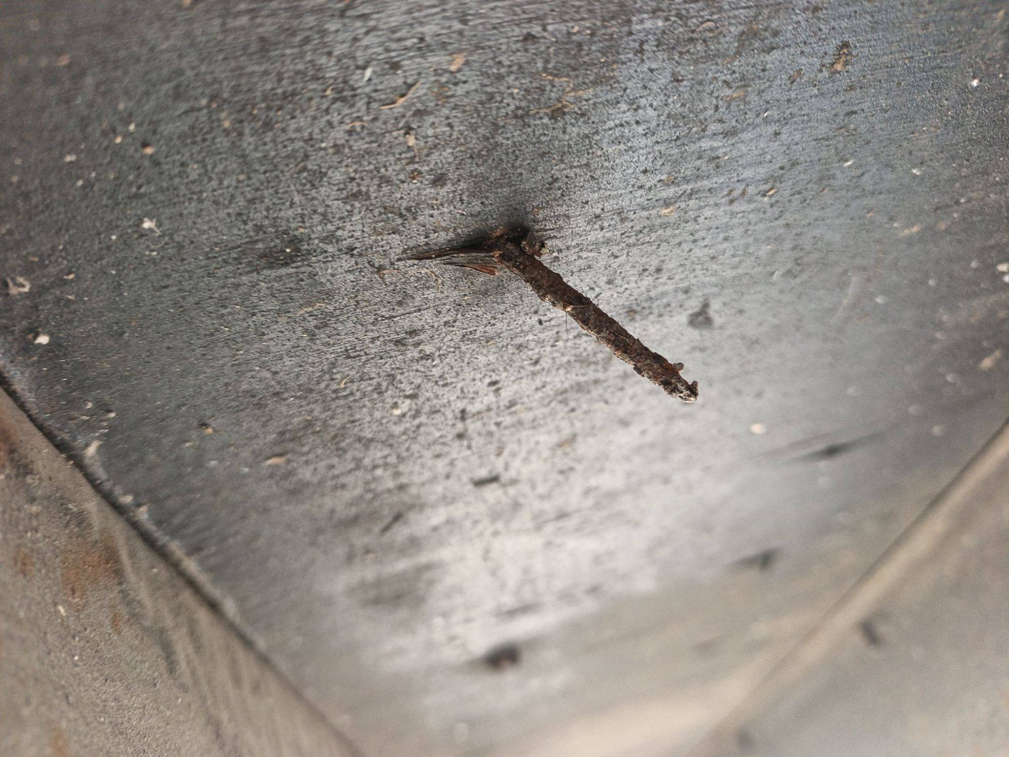 Морской контейнер TCKU3443148