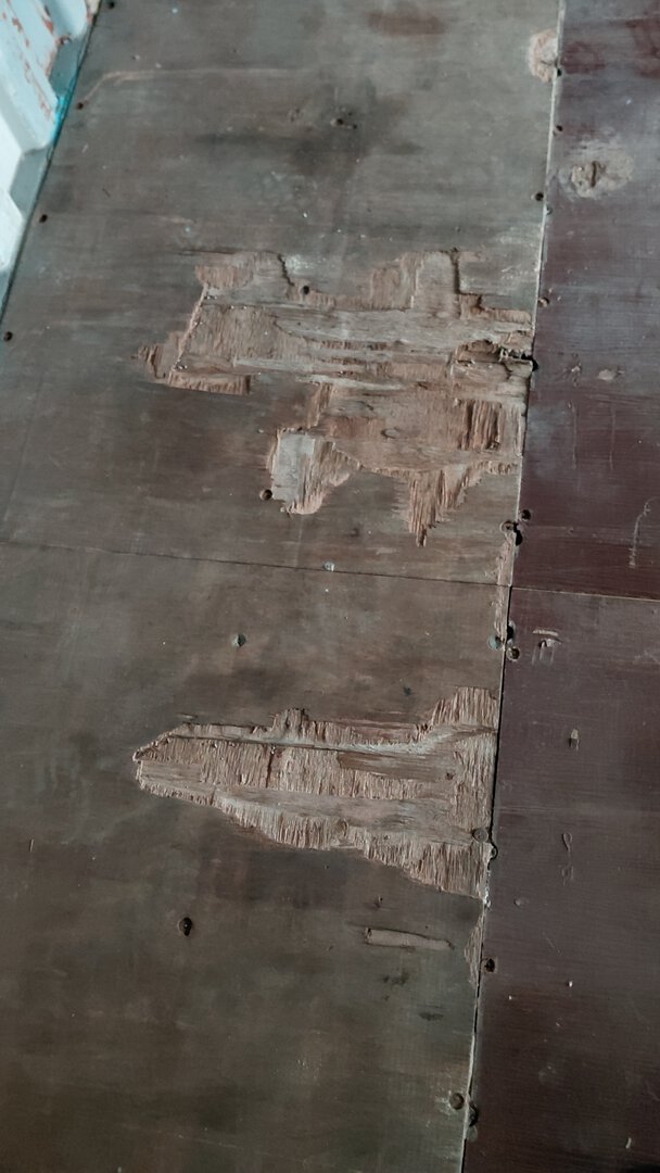 Морской контейнер TCKU3956222