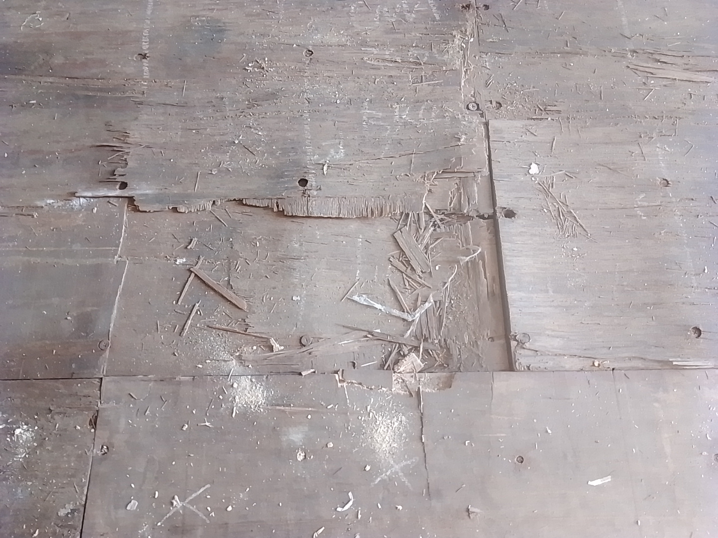 Морской контейнер TCKU9572060