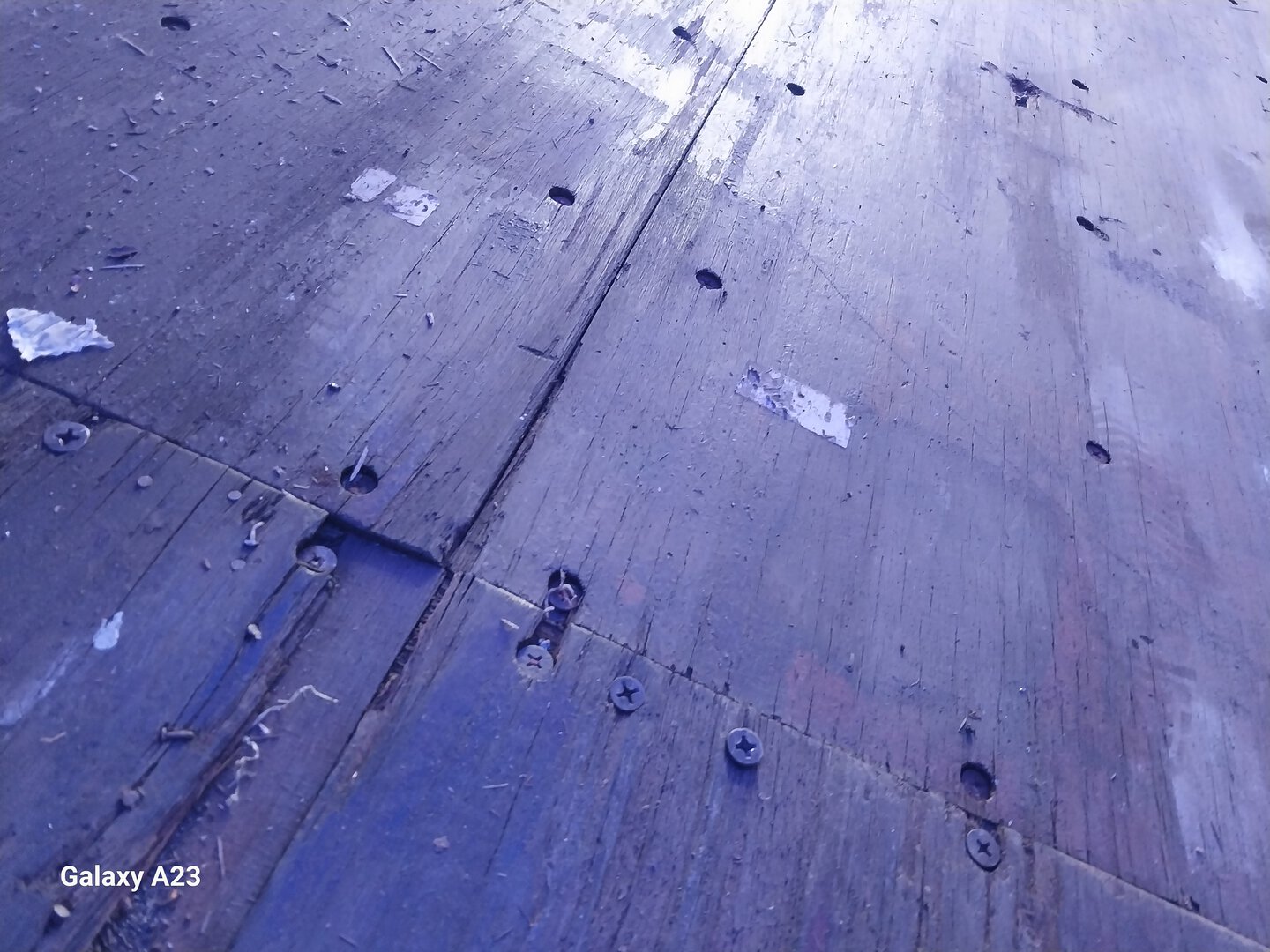 Морской контейнер TCKU9793992