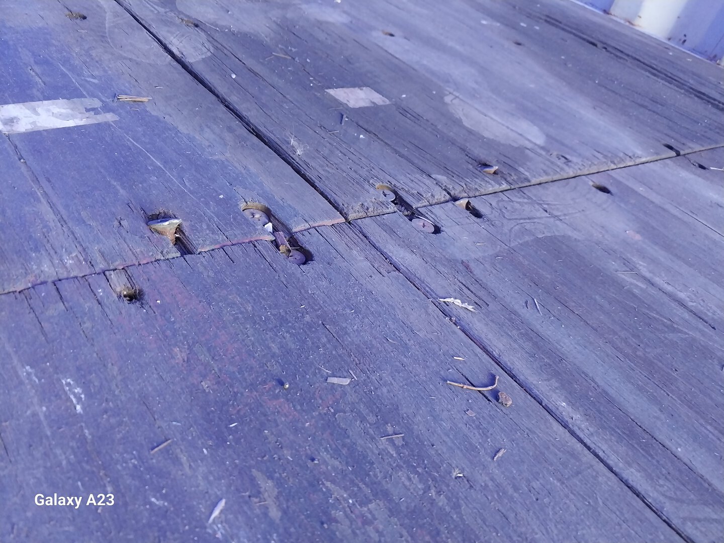 Морской контейнер TCKU9793992