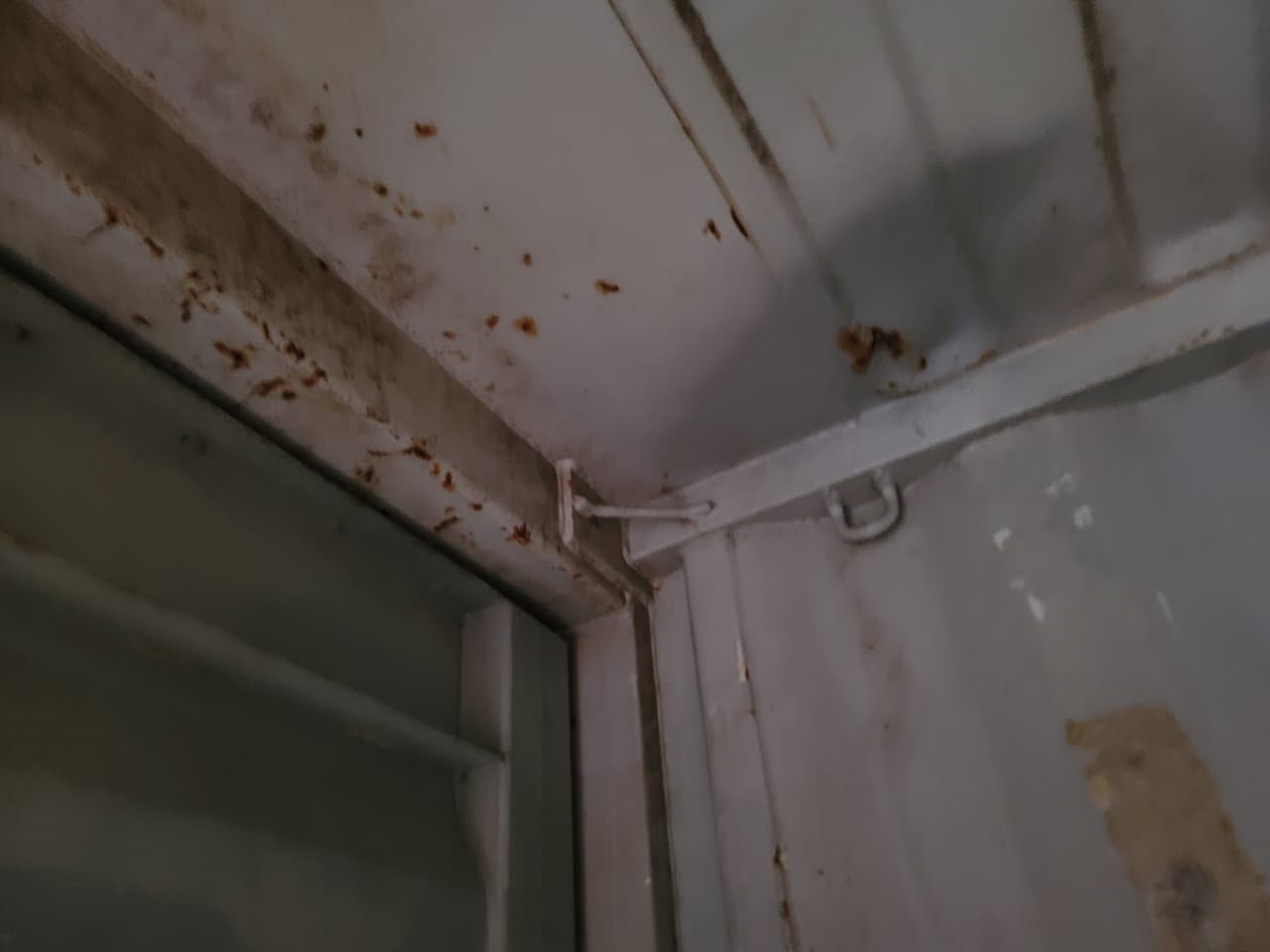 Морской контейнер TCLU2694819