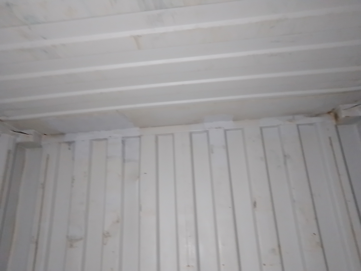 Морской контейнер TCLU4002503