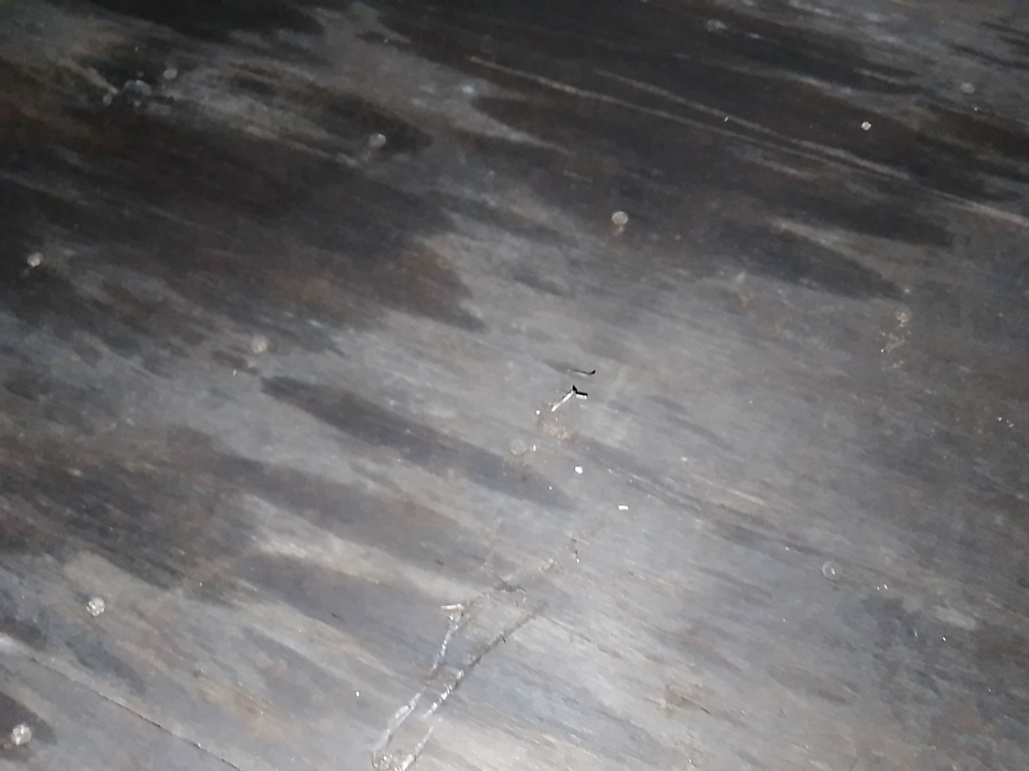 Морской контейнер TCLU4002503