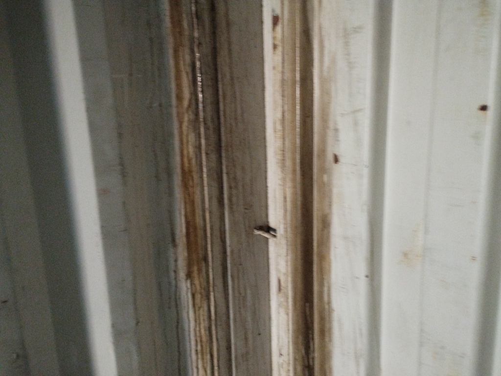 Морской контейнер TCLU4478845