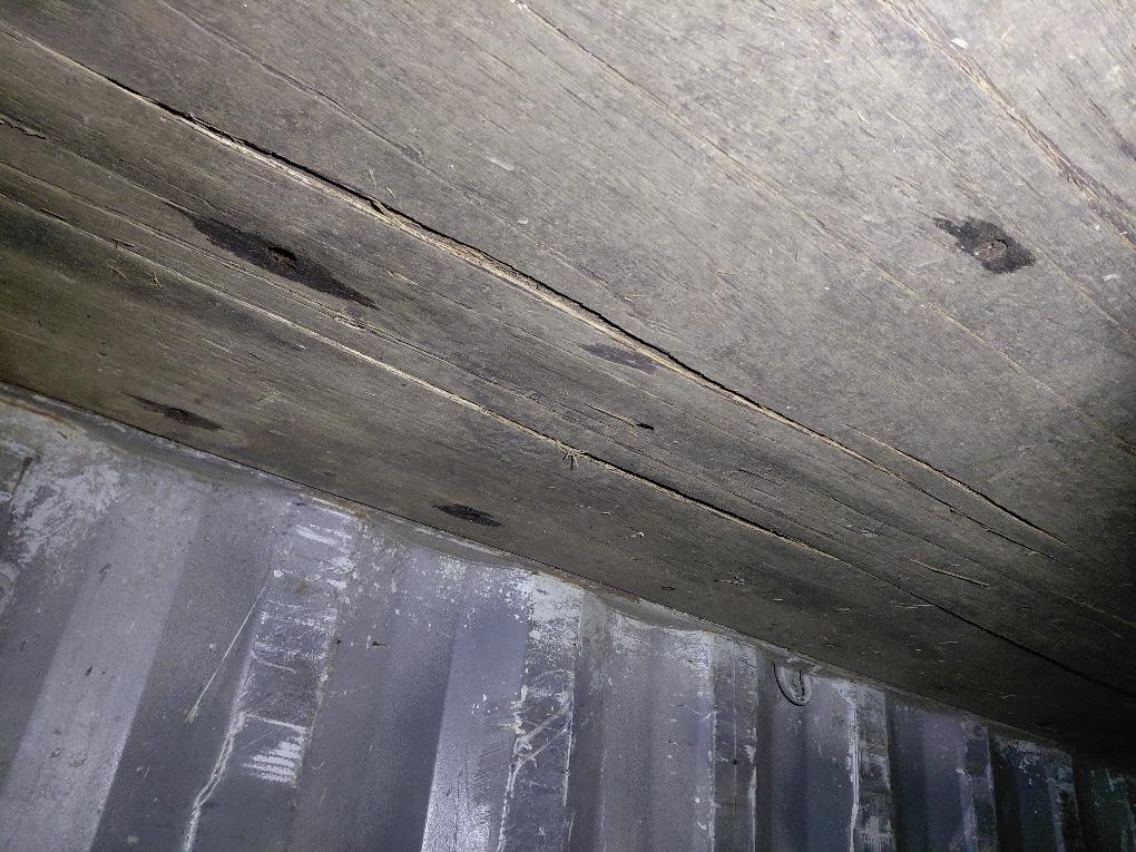 Морской контейнер TCLU5006294