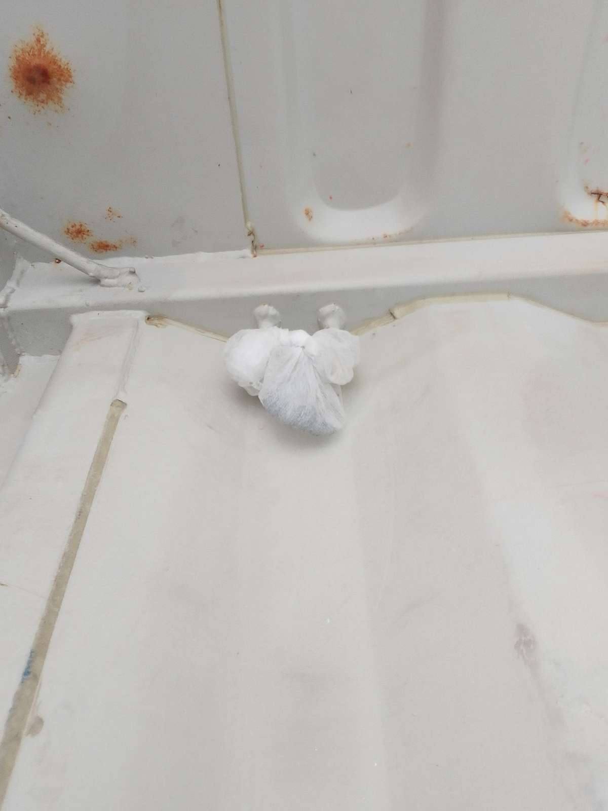 Морской контейнер TCLU5129581