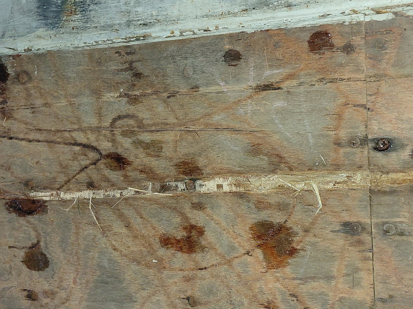 Морской контейнер TCLU5542363