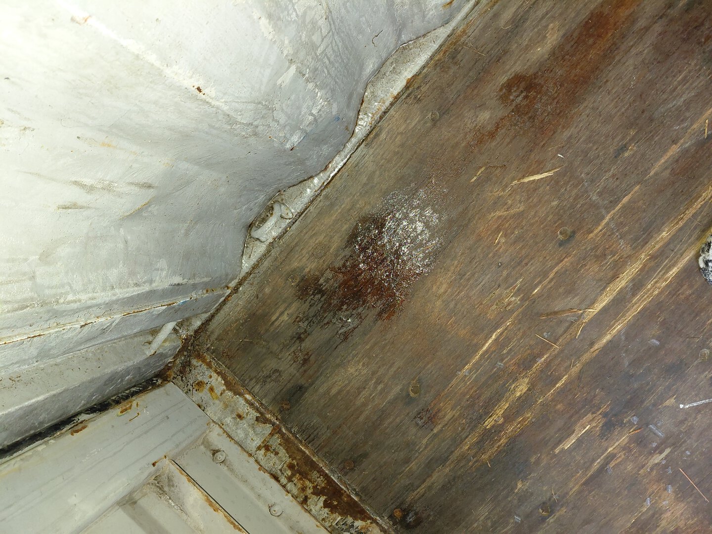 Морской контейнер TCLU5542363