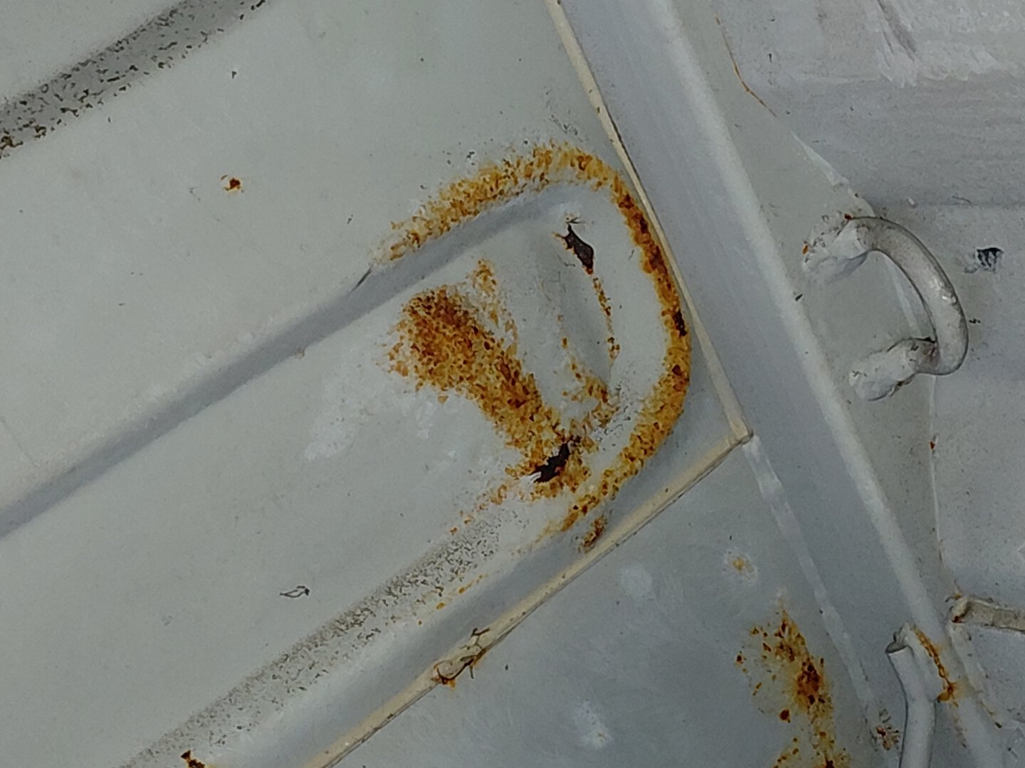 Морской контейнер TCLU5542363