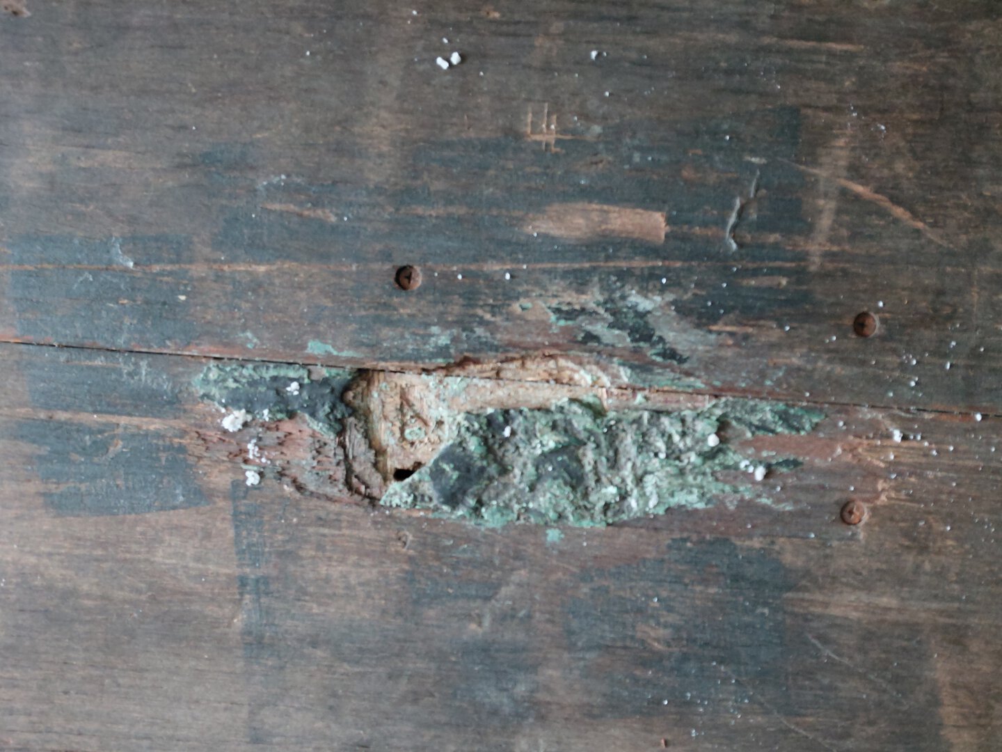 Морской контейнер TCLU5680402