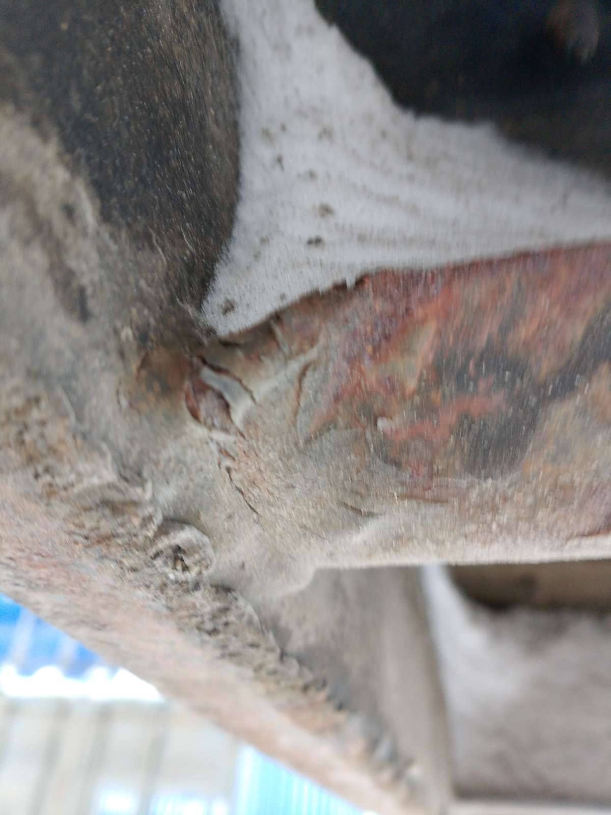 Морской контейнер TCLU8759959