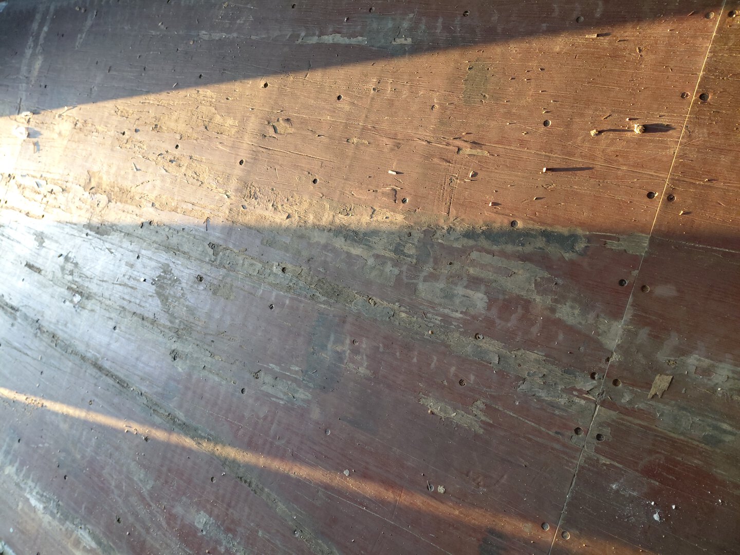 Морской контейнер TCNU7870230