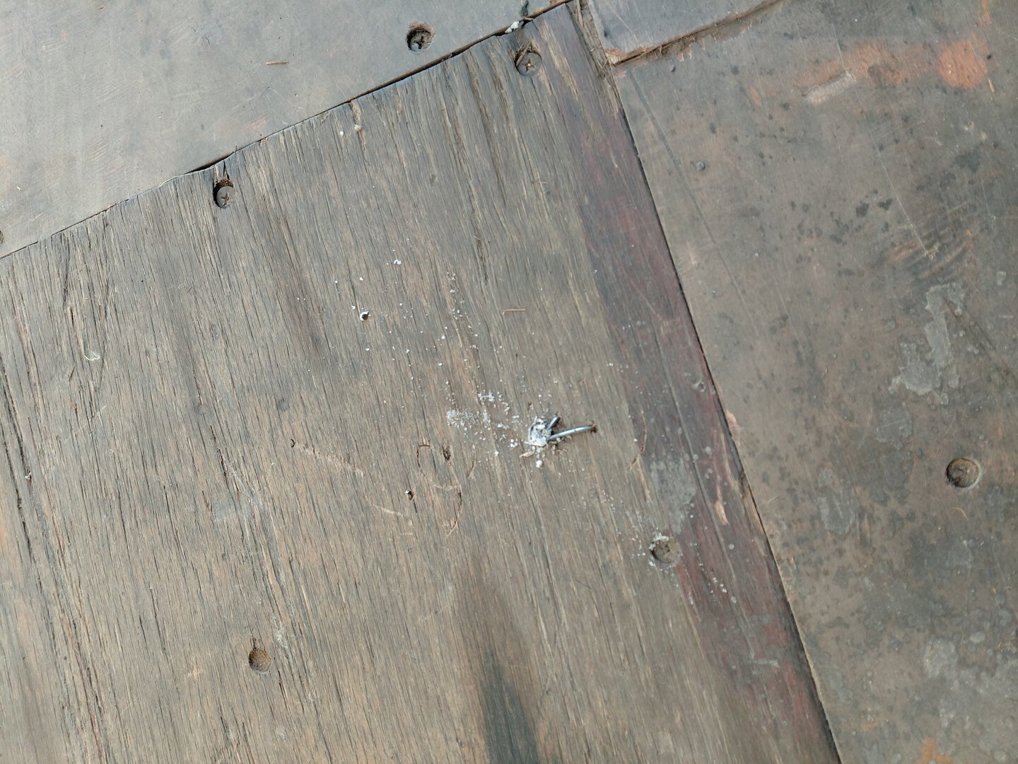 Морской контейнер TCNU8060378