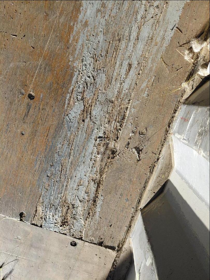 Морской контейнер TCNU8060378