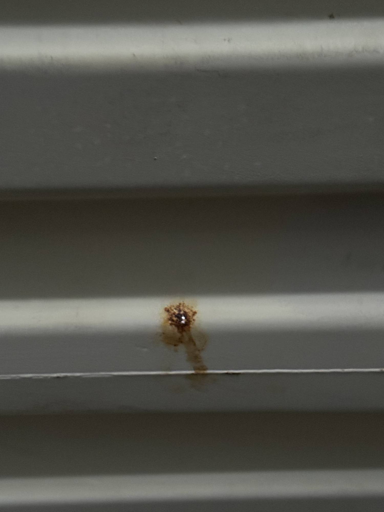 Морской контейнер TCNU8218057