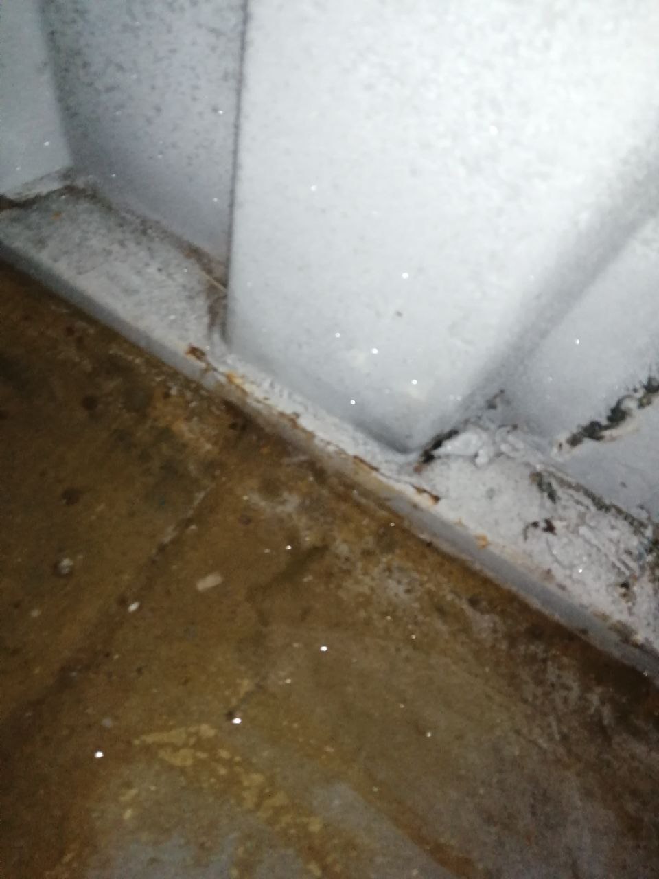 Морской контейнер TCNU8306559