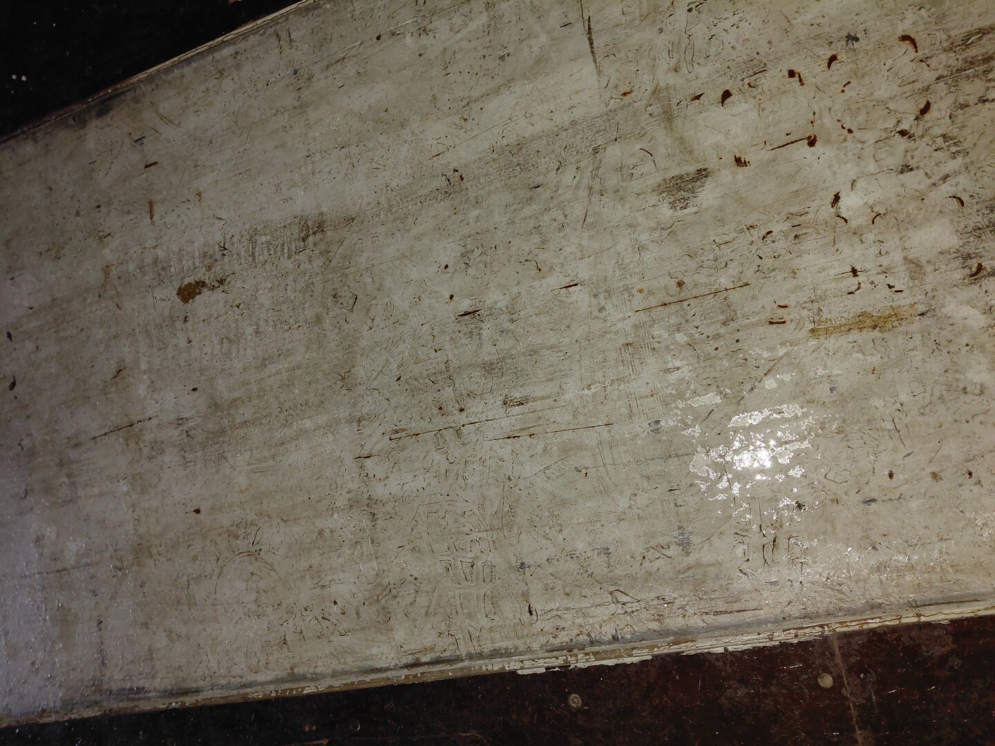 Морской контейнер TCNU8670832