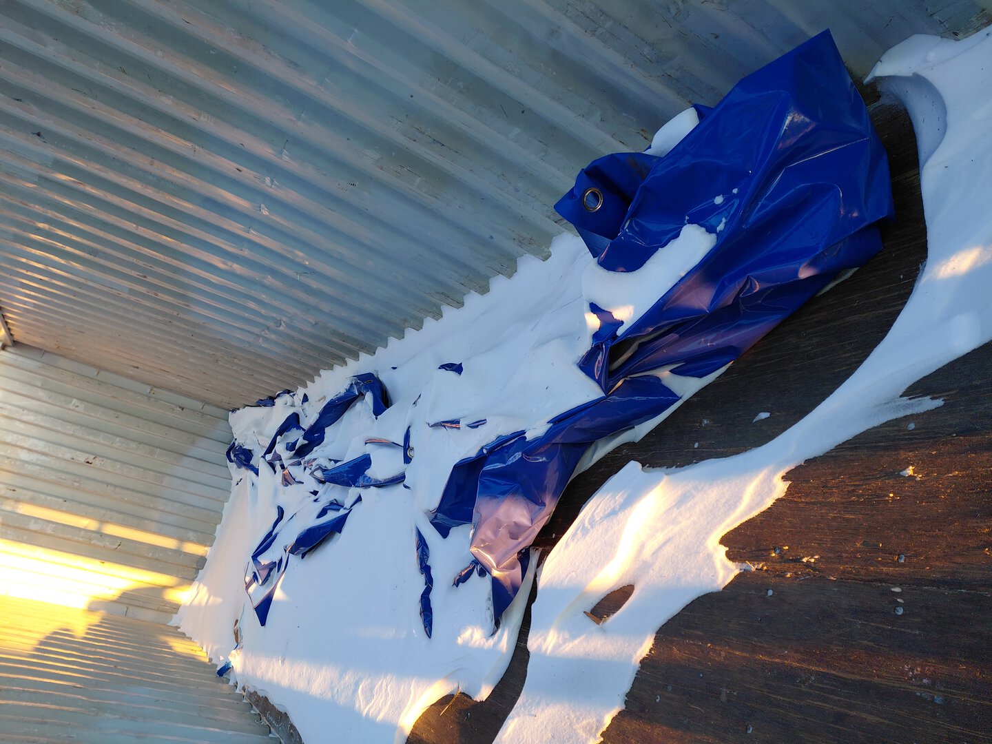 Морской контейнер TCNU9561733