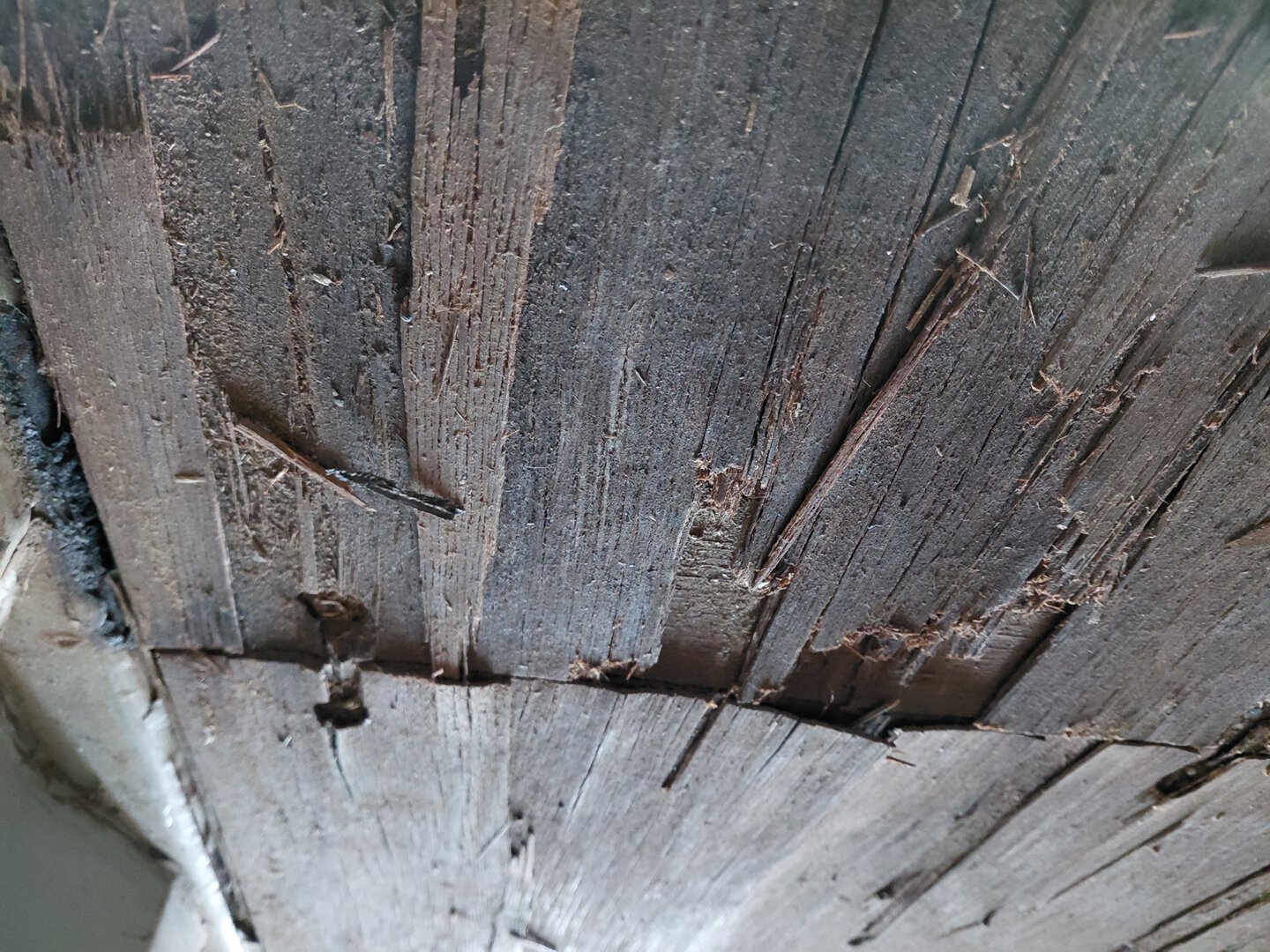 Морской контейнер TCNU9596010