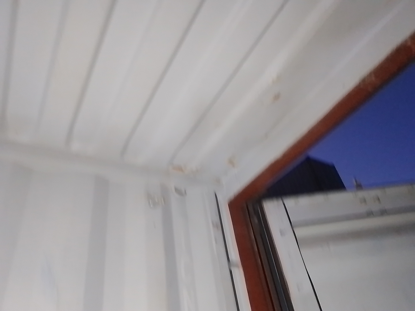 Морской контейнер TCNU9783089