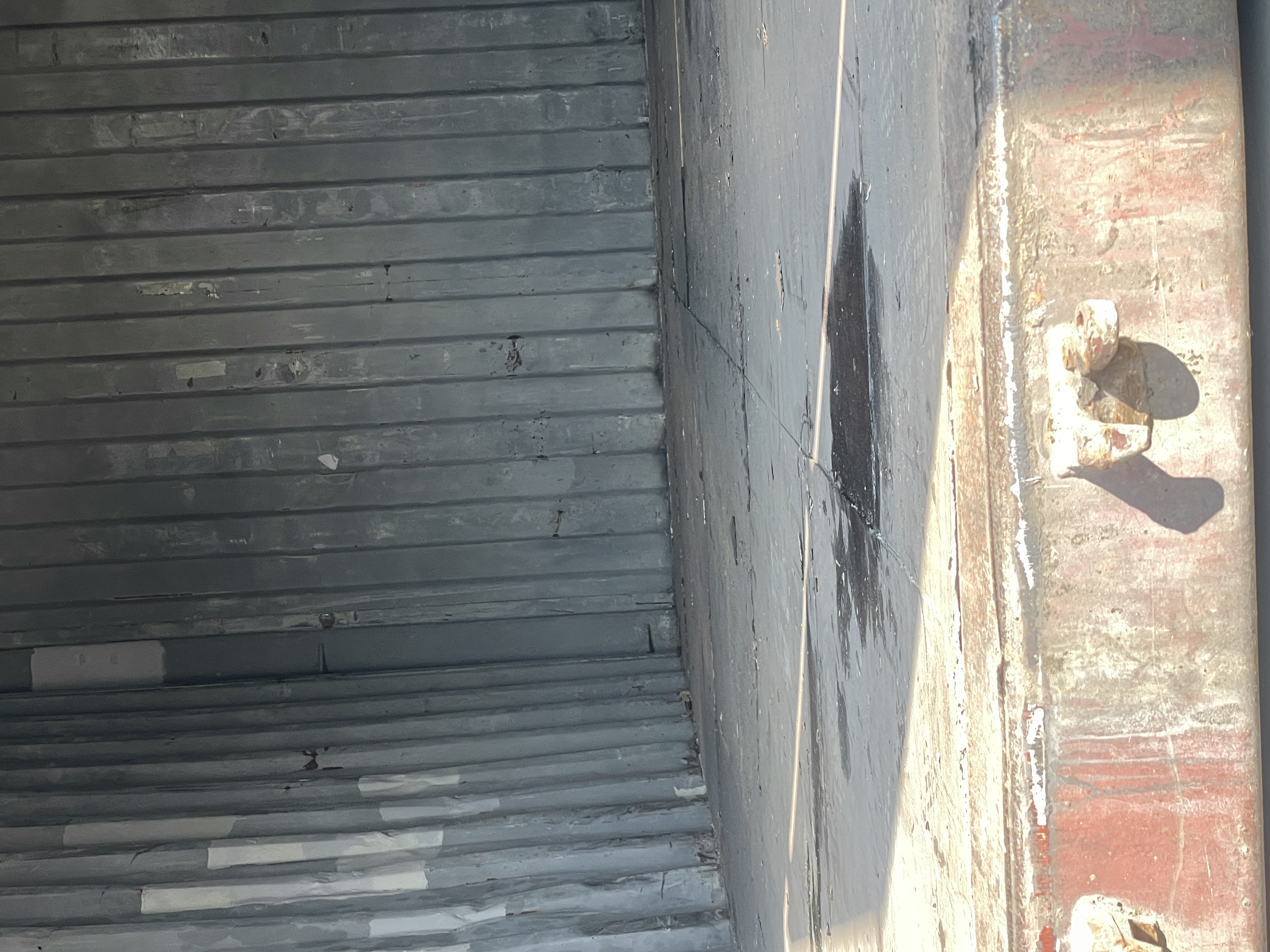 Морской контейнер TEMU2320689